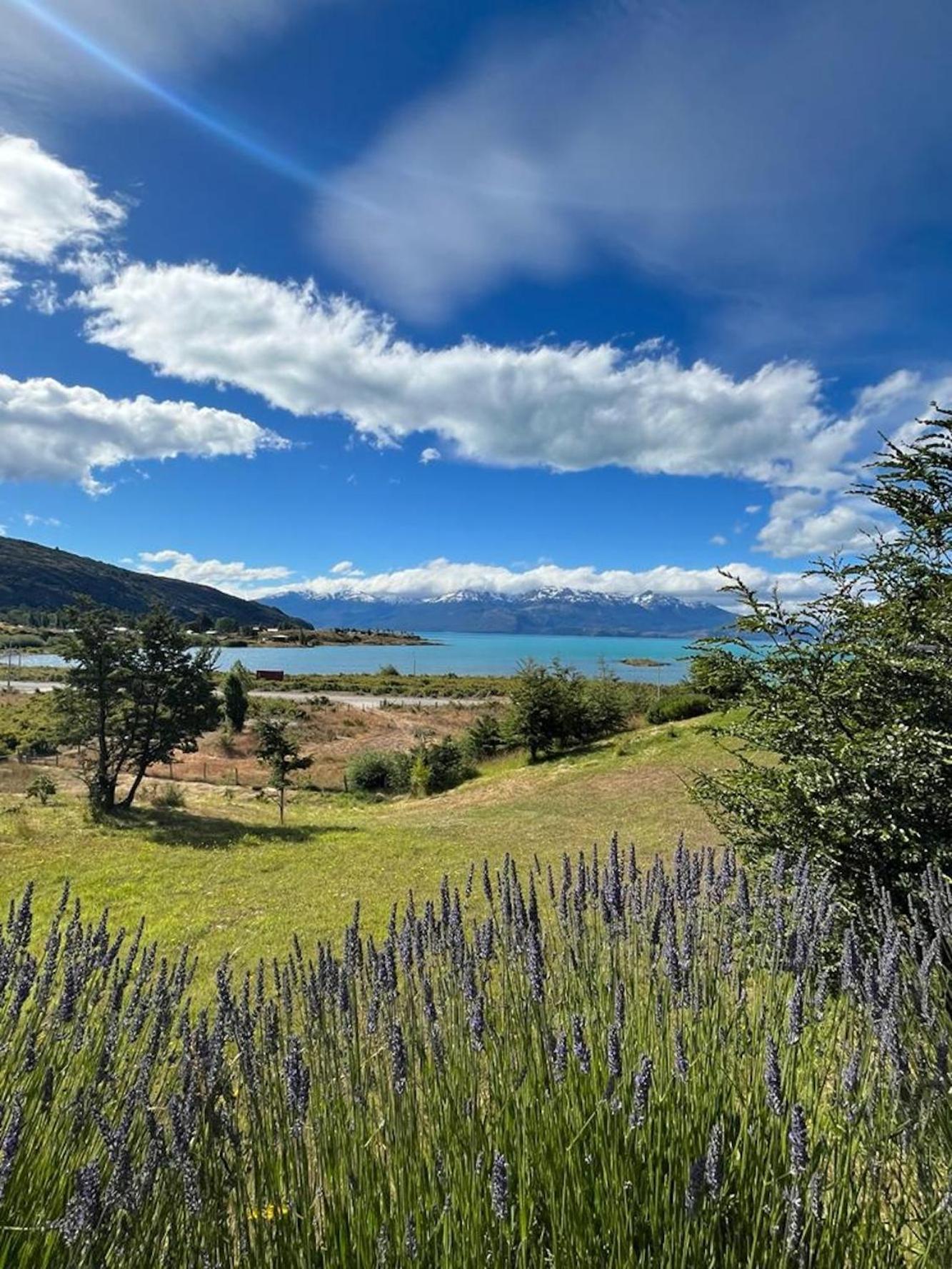 El Arrayan Villa Puerto Guadal Eksteriør bilde